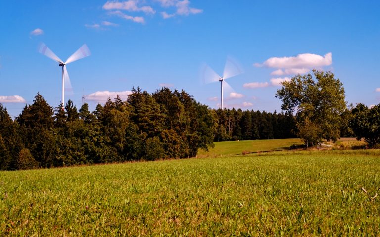Grüne und ÖDP: Ja zur Windkraftnutzung, Nein zum Kiesabbau im Altdorfer Wald