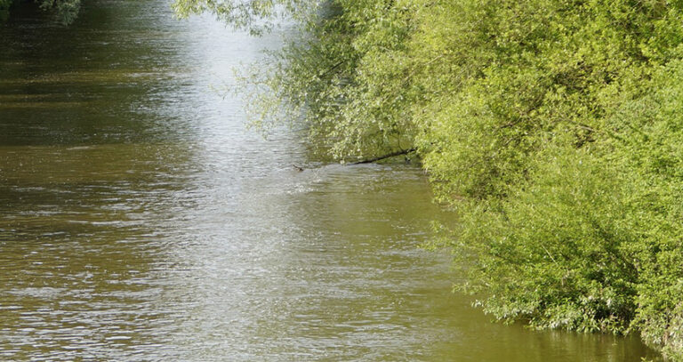 Wilde Argen – eine Flusslandschaft als Naturschatz